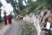 Dharamshala Path around residence