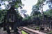 AngkorWat TaProhm courtyard