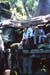 AngkorWat TaProhm More tourists