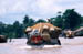 MekongDelta Boats w rice