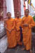 Bangkok Monks