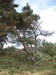 Vid Han�bukten i �hus