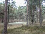 N�ra Han�bukten i �hus