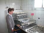 Ghislaine � une ferme de ch�vre en Sologne