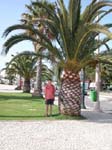 Faro: