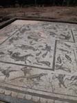 Sevilla, Italica: Ruiner