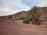 Ouarzazat: Oas vid Flint