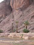 Ouarzazat: Oas vid Flint