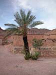 Ouarzazat: Oas vid Flint
