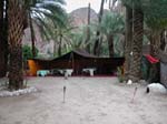 Ouarzazat: Tuareger i oasen vid Flint