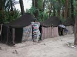 Ouarzazat: Tuareger i oasen vid Flint