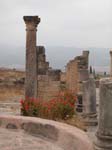 Volubilis: Ruiner