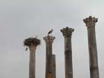 Volubilis: Ruiner