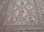 Volubilis: Ruiner