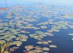 Karlstad Klar�lven