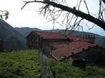 Limano, Toscane
