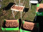 Monc�, Dordogne: Valn�tssk�rd