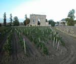 St Emilion, Bordeaux: Ving�rdar