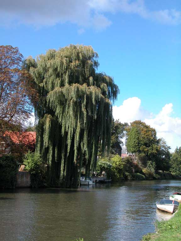 Utrecht