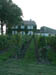 St Emilion, Bordeaux: Vineyards