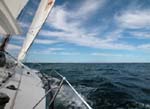 ... med vind upp till 12-13 m/s