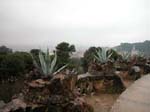 Barcelona: Park G�ell