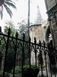 Barcelona: La Cath�drale