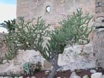 Alicante: La Fortaleza