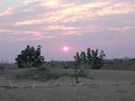 Rajasthan: Le desert de 'thar'