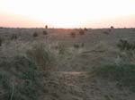 Rajasthan: Le desert de 'thar'