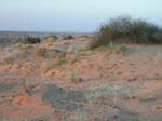 Rajasthan: Le desert de 'thar'