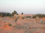 Rajasthan: Le desert de 'thar'