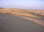 Rajasthan: Le desert de 'thar'