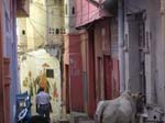 Rajasthan, Udaipur: Sc�nes de rues ...