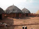 Rajasthan: Le desert de 'thar'