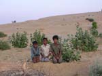 Rajasthan: Le desert de 'thar'