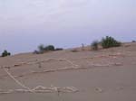 Rajasthan: Le desert de 'thar'