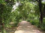 Uttar Pradesh, Sarnath: En viktig plats f�r buddhister