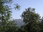 Madya Pradesh, Pachmarhi