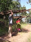 Madya Pradesh, Pachmarhi: Des paysans ramassent du bois au Rajendra Giri