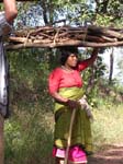 Madya Pradesh, Pachmarhi: Des paysans ramassent du bois au Rajendra Giri