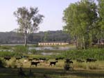 Madya Pradesh, Pachmarhi
