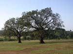 Madya Pradesh, Pachmarhi