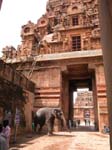 Tamil Nadu, Thanjavur: Brihadisvara templet