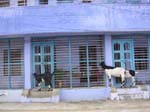 Tamil Nadu, Suchindram