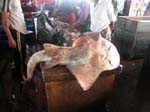 Kerala, Thalassery: Fiskemarknaden