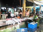 Kerala, Thalassery: Fiskemarknaden