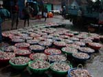 Kerala, Thalassery: Fiskemarknaden