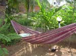 Kerala, Varkala: V�rt hotell