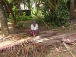Kerala, Varkala: Att g�ra ett tak fr�n ett kokosn�tstr�d